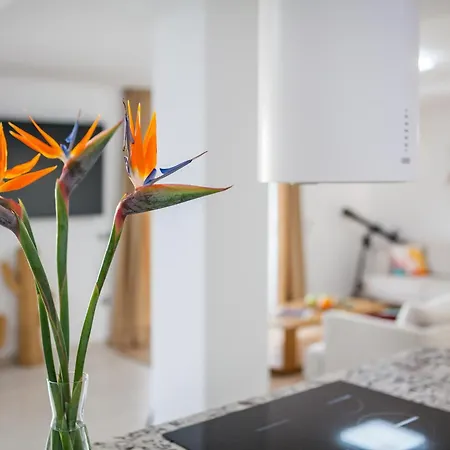 Daire Presidential 350m2 Bellavista On One Level,private Spa&heated Pool